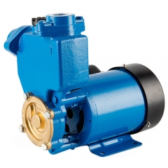 GP series self priming peripheral water pump