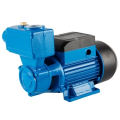 TPS series self priming peripheral water pump