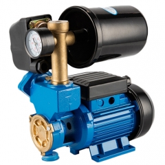WZ series self priming peripheral water pump