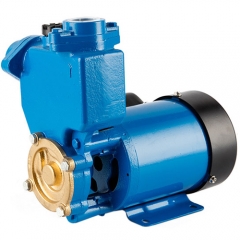 PS series self priming peripheral water pump