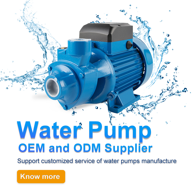 QB Min Electric Vortex Pump | Hot Sale Model water pumps