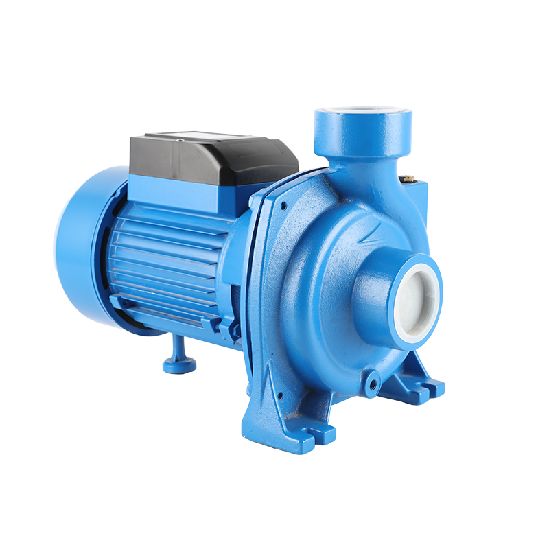 DTM Series 0.75HP High Delivery Rates Electric Pump Single Stage Centrifugal Water Pumps