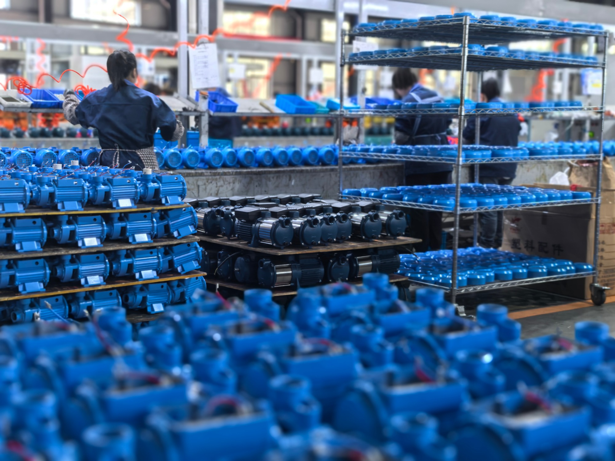 ELESTAR — For Perfect Life